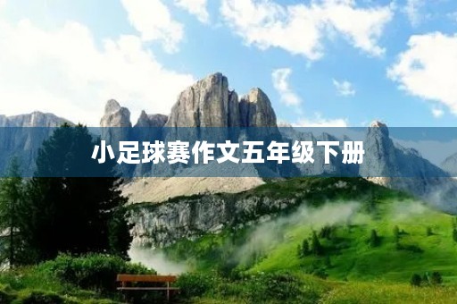 小足球赛作文五年级下册 小足球赛作文五年级下册