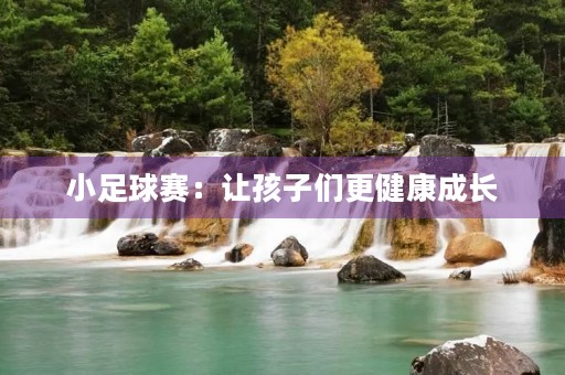 小足球赛：让孩子们更健康成长