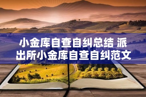 小金库自查自纠总结 派出所小金库自查自纠范文