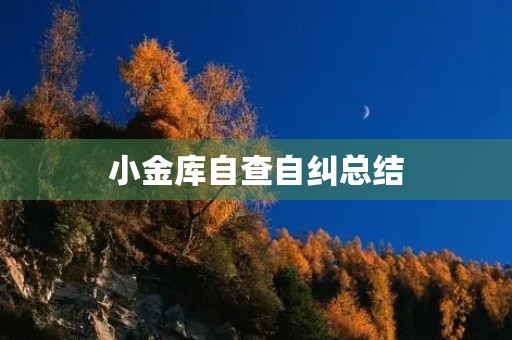 小金库自查自纠总结 小金库自查自纠总结