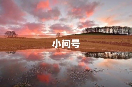 小问号