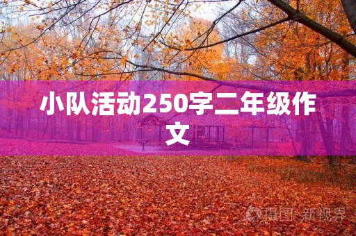 小队活动250字二年级作文