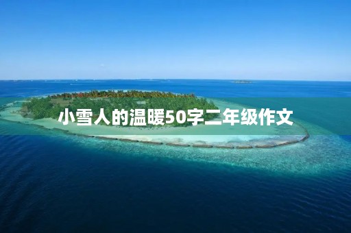 小雪人的温暖50字二年级作文