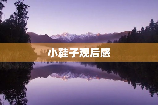 小鞋子观后感 小鞋子观后感