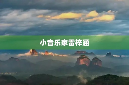 小音乐家雷梓涵 小音乐家雷梓涵