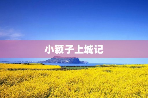 小颖子上城记