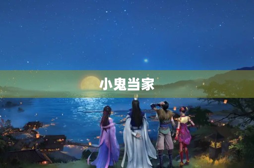 小鬼当家 小鬼当家