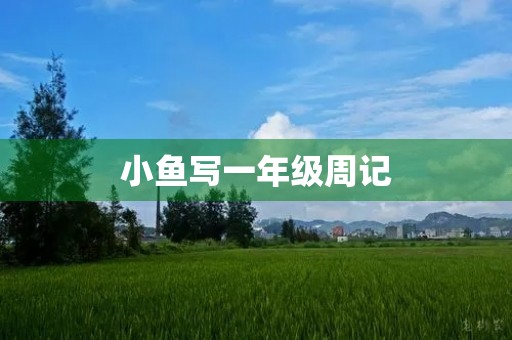小鱼写一年级周记 小鱼写一年级周记