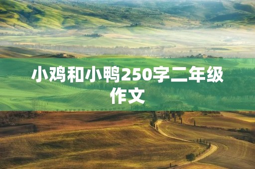 小鸡和小鸭250字二年级作文