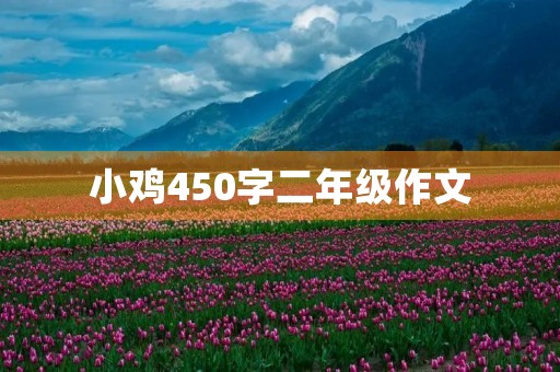 小鸡450字二年级作文 小鸡450字二年级作文