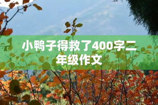 小鸭子得救了400字二年级作文