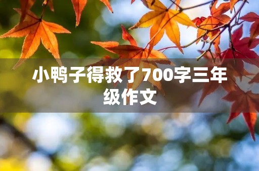 小鸭子得救了700字三年级作文