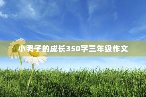 小鸭子的成长350字三年级作文 小鸭子的成长350字三年级作文