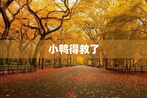 小鸭得救了