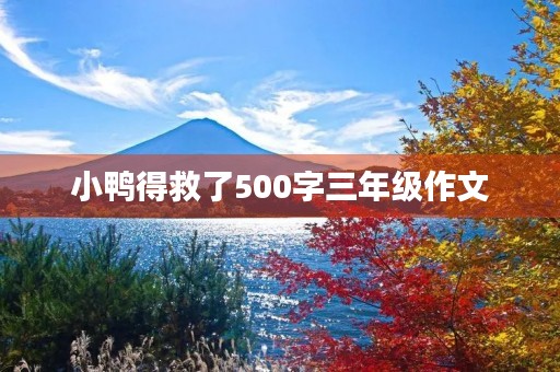 小鸭得救了500字三年级作文