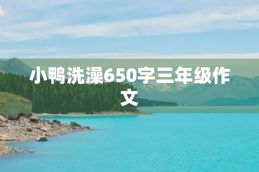 小鸭洗澡650字三年级作文