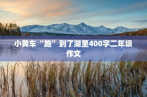 小黄车“跑”到了湖里400字二年级作文