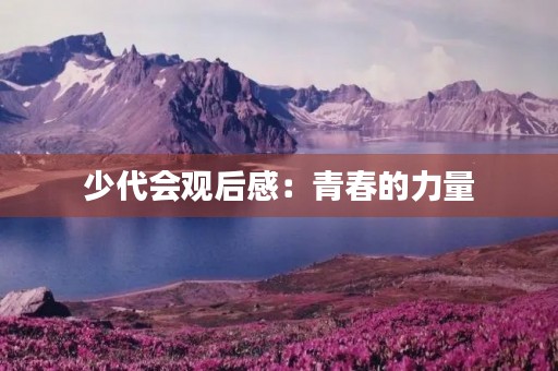 少代会观后感:青春的力量 少代会观后感:青春的力量
