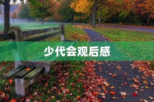 少代会观后感 少代会观后感