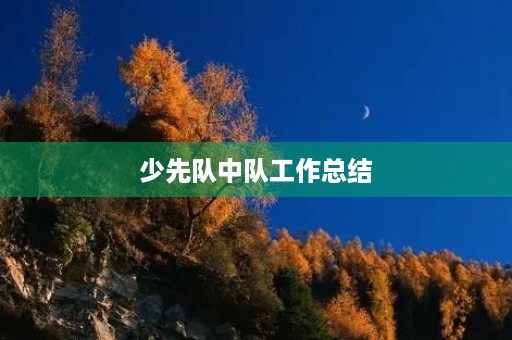 少先队中队工作总结