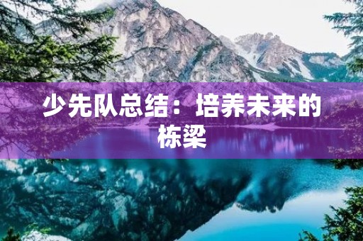 少先队总结：培养未来的栋梁