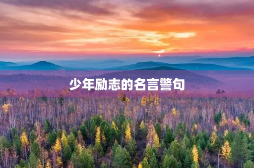 少年励志的名言警句,少年励志的名言警句大全 少年励志的名言警句,少年励志的名言警句大全