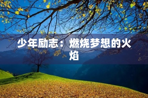 少年励志：燃烧梦想的火焰