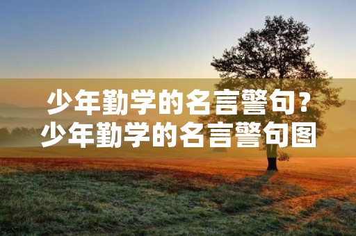 少年勤学的名言警句?少年勤学的名言警句图片 少年勤学的名言警句?少年勤学的名言警句图片