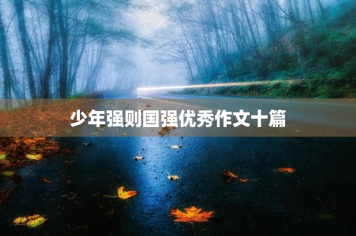 少年强则国强优秀作文十篇