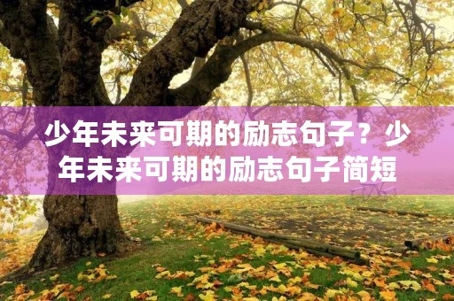 少年未来可期的励志句子？少年未来可期的励志句子简短