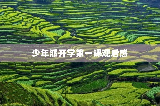 少年派开学第一课观后感