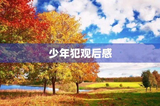 少年犯观后感