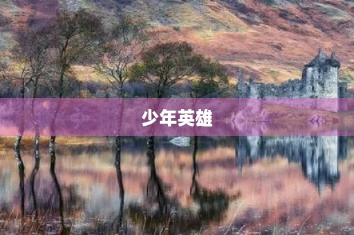 少年英雄
