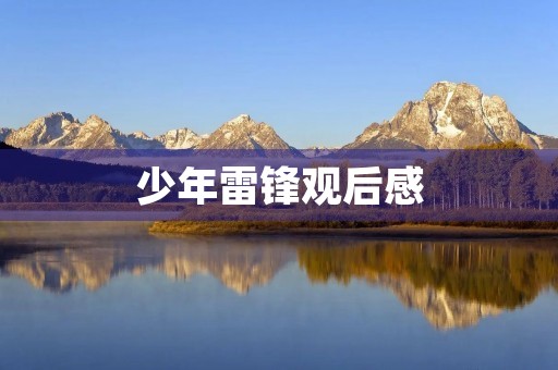 少年雷锋观后感