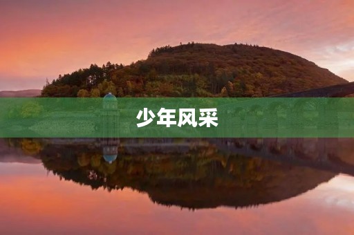 少年风采,闪耀人生 少年风采,闪耀人生