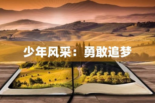少年风采:勇敢追梦,青春无悔 少年风采:勇敢追梦,青春无悔