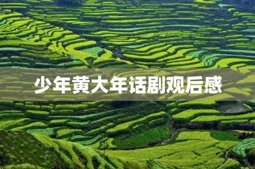 少年黄大年话剧观后感