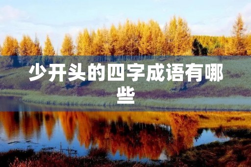 少开头的四字成语有哪些