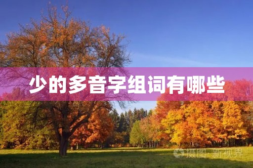 少的多音字组词有哪些(少的组词) 少的多音字组词有哪些(少的组词)
