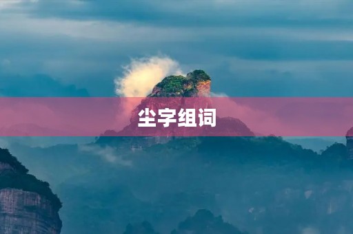 尘字组词(尘组词)