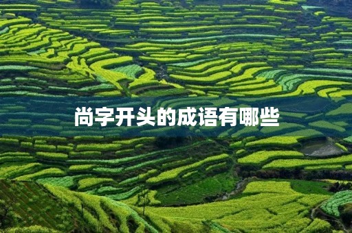 尚字开头的成语有哪些 尚字开头的成语有哪些
