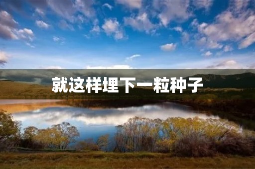 就这样埋下一粒种子 就这样埋下一粒种子