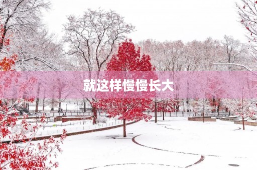 就这样慢慢长大