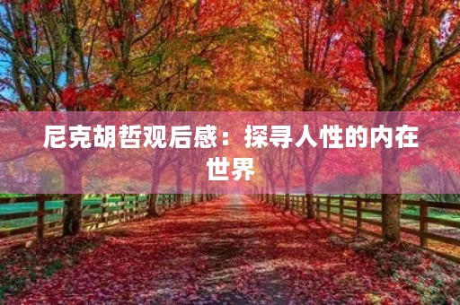 尼克胡哲观后感:探寻人性的内在世界 尼克胡哲观后感:探寻人性的内在世界