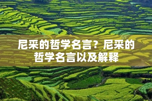 尼采的哲学名言?尼采的哲学名言以及解释 尼采的哲学名言?尼采的哲学名言以及解释