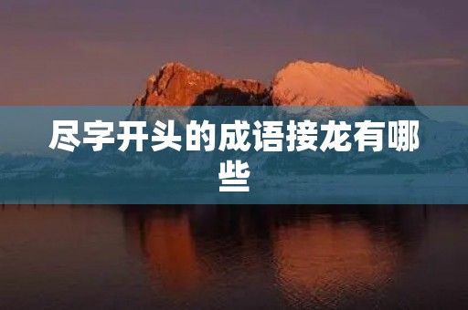 尽字开头的成语接龙有哪些