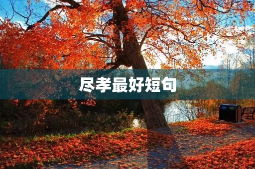 尽孝最好短句(表达尽孝的句子说说) 尽孝最好短句(表达尽孝的句子说说)