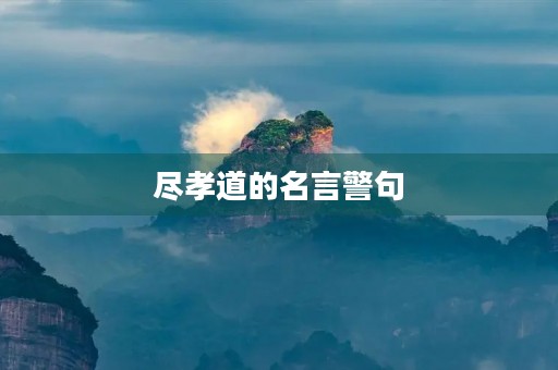 尽孝道的名言警句(尽孝最精辟短句)