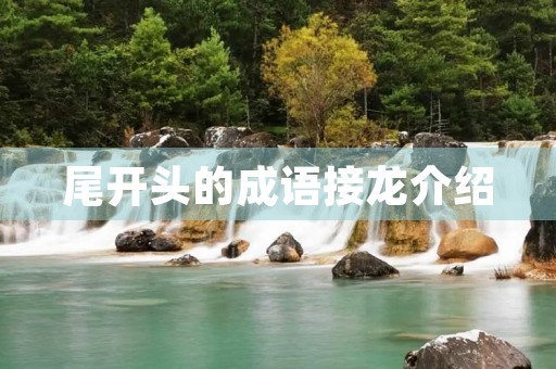 尾开头的成语接龙介绍