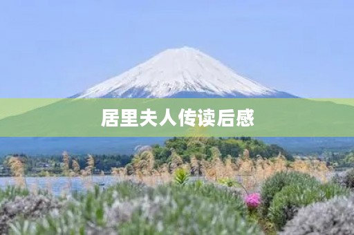居里夫人传读后感 居里夫人传读后感